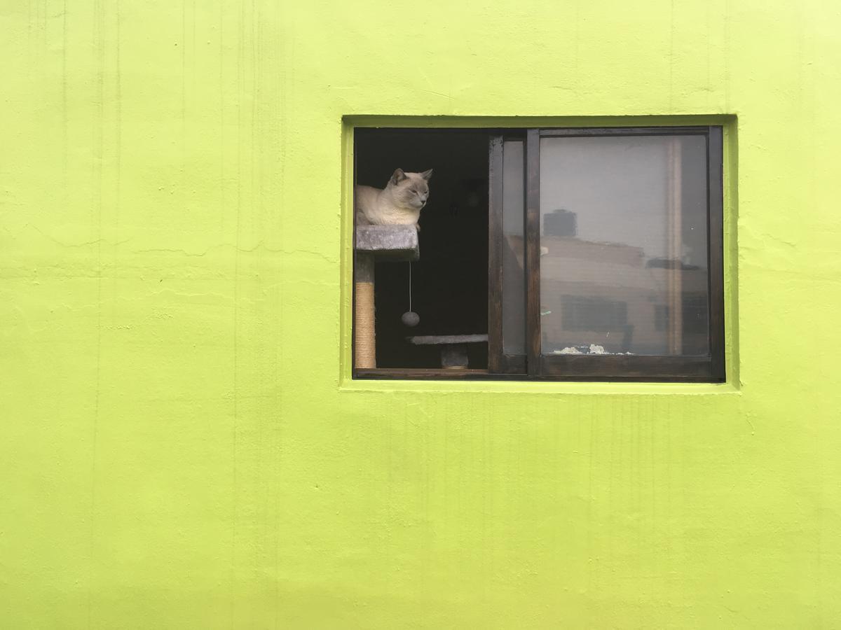Busan Backpackers Exterior foto